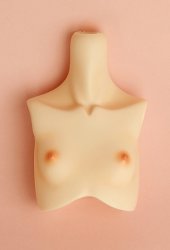 [Outer Body Part] Type-H2 Bust Whitey (Blushed)