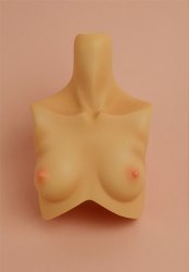 [Outer Body Part] Type-H Bust Tan (Blushed)
