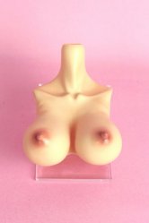 [Outer Body Part] Type-H4 Bust ver.2 Tan Soft Skin (Blushed)