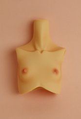 [Outer Body Part] Type-H2 Bust Tan (Blushed)