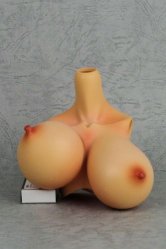 [Outer Body Part] Type-C4 Bust Tan (Blushed)