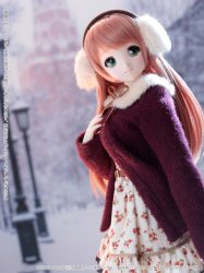 Noix Merry snow