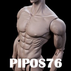 PIPOS76 Muscle Body Parts