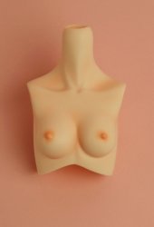 [Outer Body Part] Type-F Bust Whitey (Blushed)