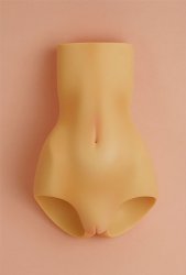 [Outer Body Part] Type-F Lower Torso Tan (Blushed)