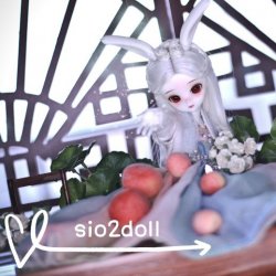 [Little Fairy Series] Star Rabbit
