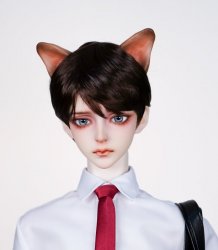 Class60 [ANDANTE Wolf Ear parts Ver.]