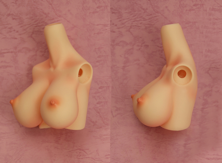 [Outer Body Part] Type-C2 Bust Whitey (Blushed)